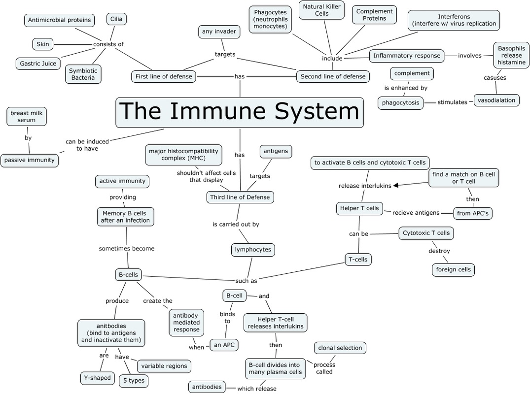 Immune System - Home